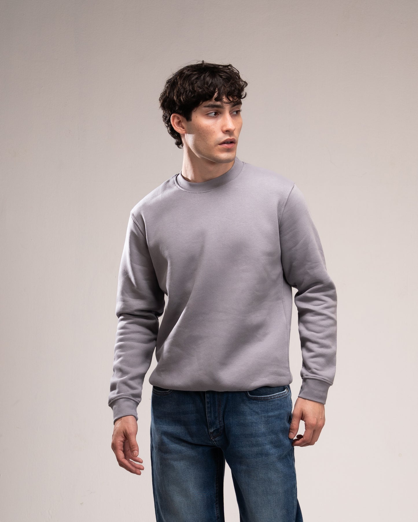 Basic SweatShirt - Gray