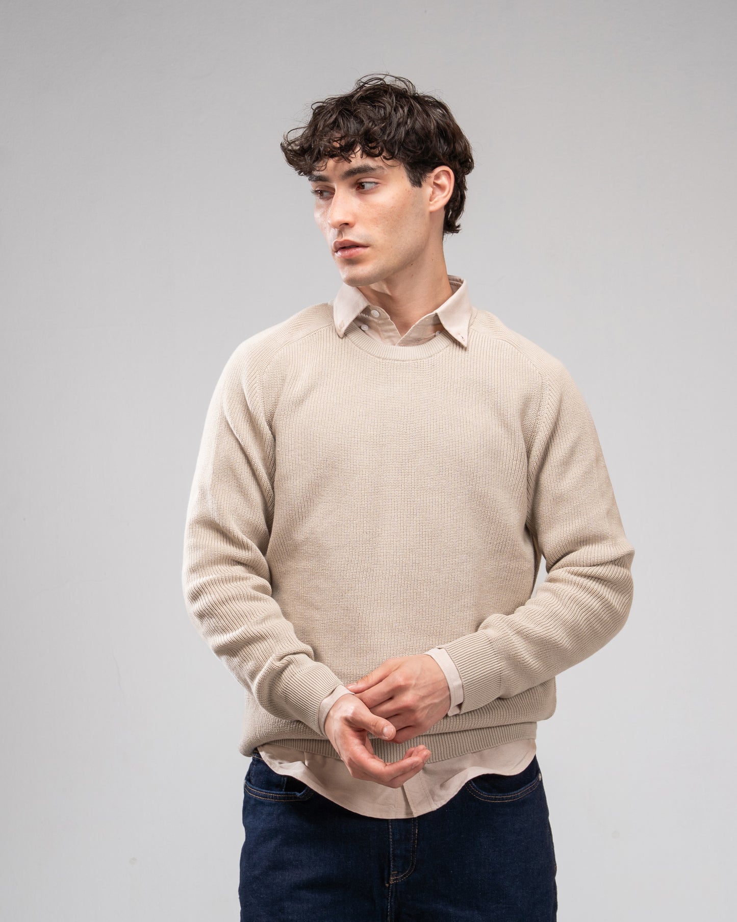 Knit Crew Neck Jumper -Beige
